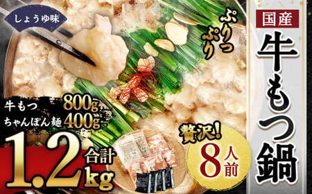 国産もつ鍋 8人前 冷凍ちゃんぽん・濃縮スープ付き（醤油味）