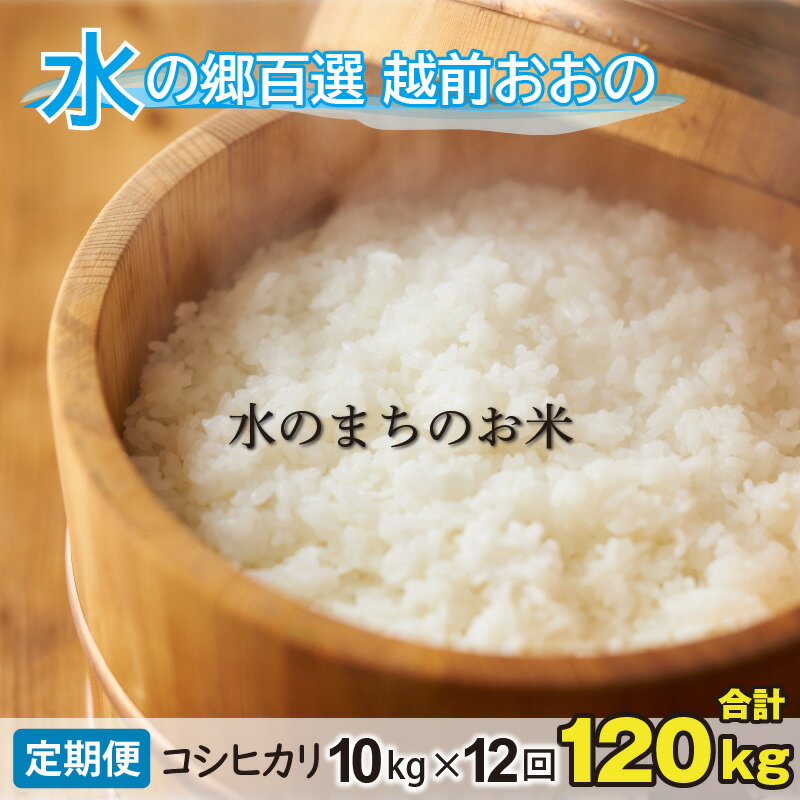 【ふるさと納税】【令和7年産】【12ヶ月定期便】こしひかり 10kg×12回 計120kg【白米】「エコファーマー米」水のまちのお米 【定期便・お米・コシヒカリ・12ヶ月連続・米・計120kg・12回】[M-003001] | コンシェルジュ