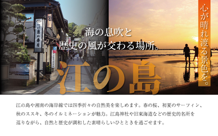 湘南珈琲倶楽部  コーヒ粉1kg