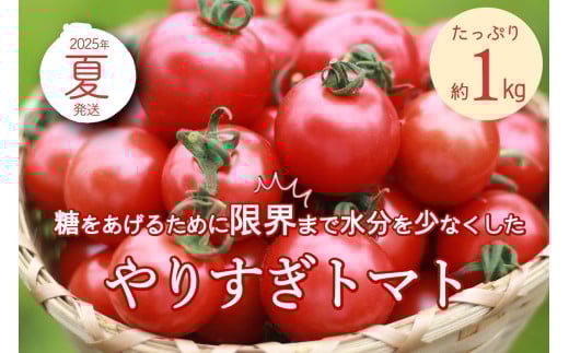 【先行予約】やりすぎトマト（4パック計約1kg）（夏季）（2026年6月上旬以降発送）　DE00141
