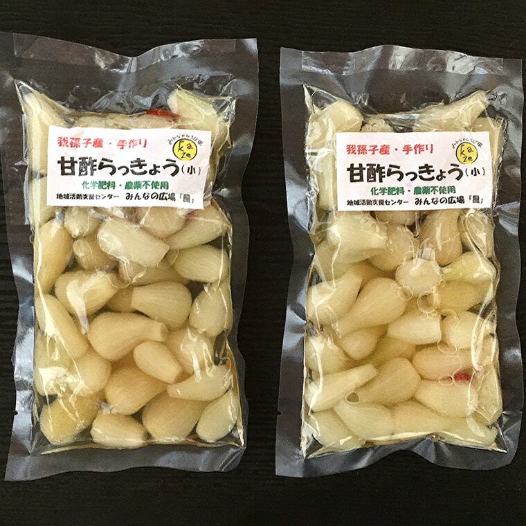 【みんなの広場・風】手作り甘酢らっきょう160g×2袋セット【福祉施設提供】 《30日以内に出荷予定(土日祝除く)》---abikoc_kaz_1_2p---