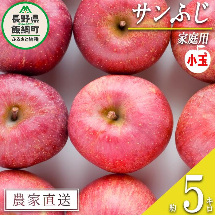 【ふるさと納税】 りんご サンふじ 家庭用 ( 小玉 ) 5kg 山岸ファーム 沖縄県への配送不可 令和7年度収穫分 長野県 飯綱町 〔 信州 果物 フルーツ リンゴ 林檎 長野 11000円 予約 農家直送 〕発送時期：2025年12月上旬〜2025年12月下旬 {**}