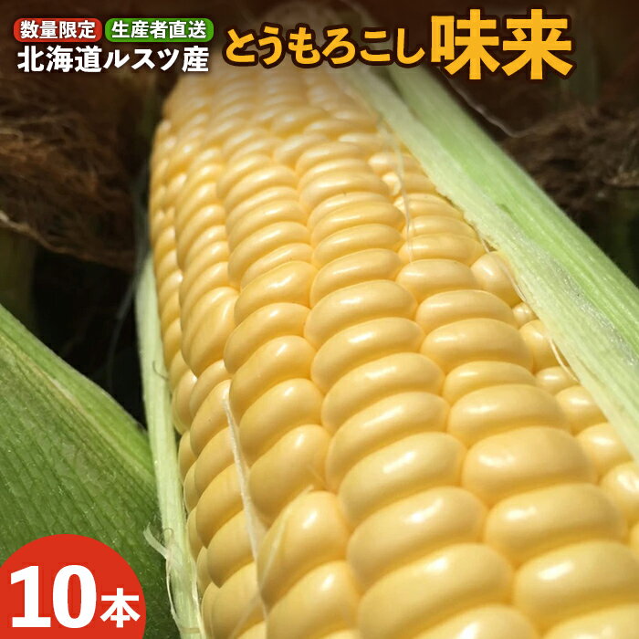 【ふるさと納税】ルスツ産 とうもろこし 味来 10本 玉手農場 オンライン 申請 ふるさと納税 北海道 留寿都 野菜 旬野菜 夏野菜 産地直送 新鮮 数量限定 とうきび トウモロコシ コーン 甘い フルーツコーン みらい 採れたて 留寿都村【1200501】