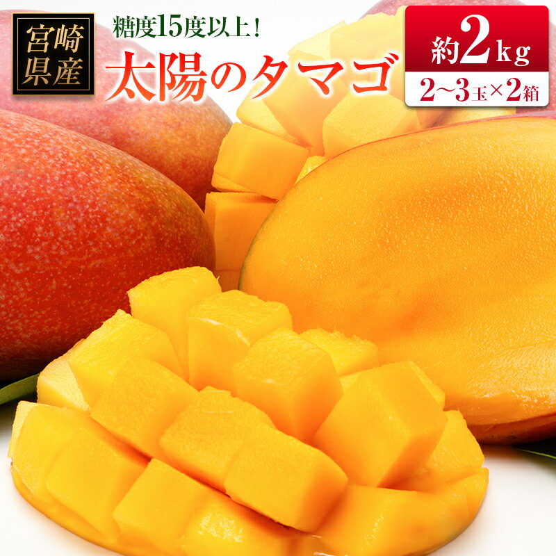 【ふるさと納税】□糖度15度以上！宮崎県産 「太陽のタマゴ」（合計約2kg）