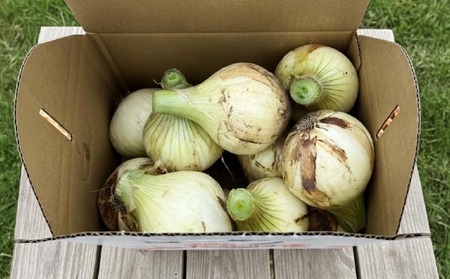 【新玉・サイズ混合】淡路島玉ねぎ　三世代で紡ぐ味淡路島の新玉ねぎ 5Kg◆配送4月下旬～5月下旬