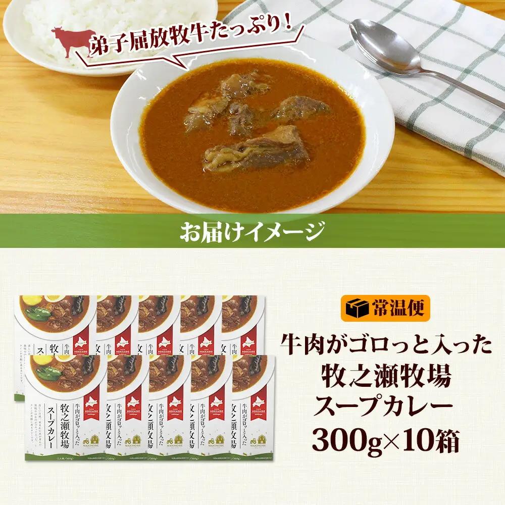 ビーフ スープカレー 300g 10箱 カレー ビーフカレー スープ 牛 牛肉 放牧牛 牧場 レトルトカレー レトルト食品 レトルト 湯煎 レンジ 牧之瀬牧場 送料無料 北海道 弟子屈町 3023