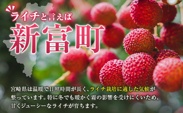 ＜数量限定＞新富町産 ライチ（約400g）国産 フルーツ 果物 贈答品【B704】