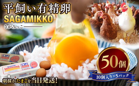 たまご 平飼い有精卵さがみっこ《かながわブランド認定》計50個