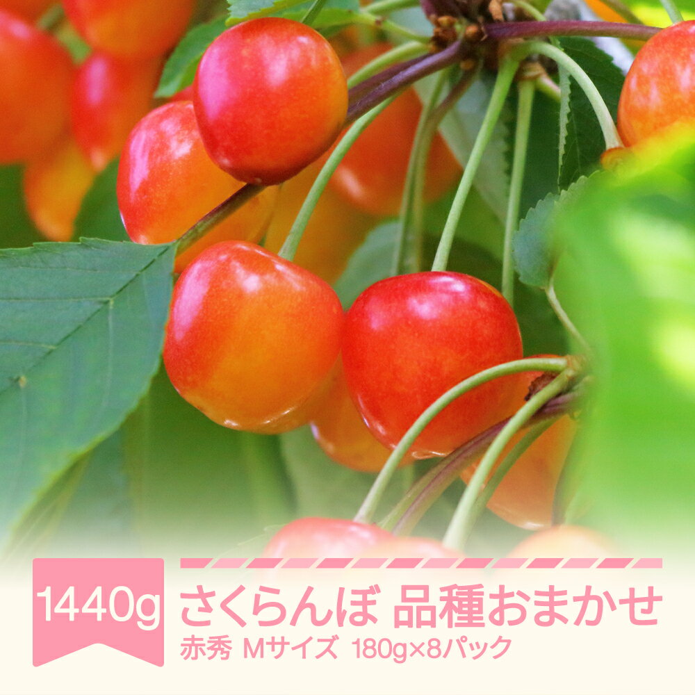 【ふるさと納税】【先行予約】 さくらんぼ 品種おまかせ 赤秀 Mサイズ 1440g 180g×8パック 2026年産 令和8年産 山形県産