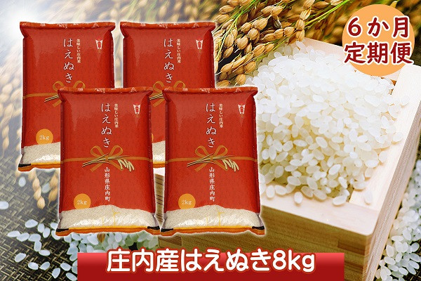 
＜12月中旬発送＞庄内米6か月定期便！はえぬき8kg（入金期限：2024.11.25）
