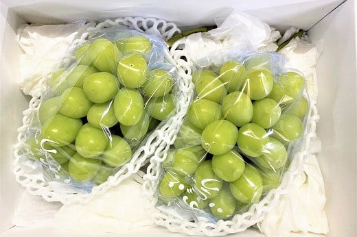 
            ぶどう（シャインマスカット）１.５ｋｇ　0126-2501
          