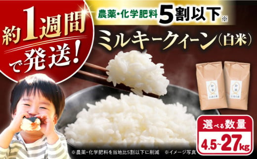 令和6年産  湖北産 ミルキークイーン 4.5kg(白米)　長浜市/株式会社エース物産[AQAK010] 米 お米 ご飯 ごはん ゴハン 近江米 滋賀県 すぐ すぐ発送 すぐ届く すぐ来る