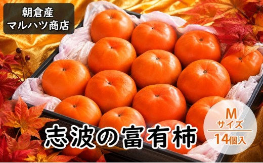 
            柿 志波の富有柿 Mサイズ×14個入 マルハツ商店
          