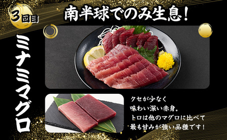 室戸屋誉丸の厳選マグロ（赤身・中トロ）を定期便で食べ比べ！【３回お届け】 _mh019