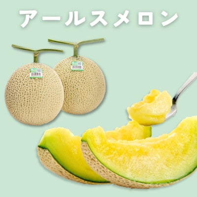 糖度13度以上!茨城県産 アールスメロン 2玉入り【先行受付　2026年9月下旬以降順次発送】【配送不可地域：離島・北海道・沖縄・中国・四国・九州】【1686256】