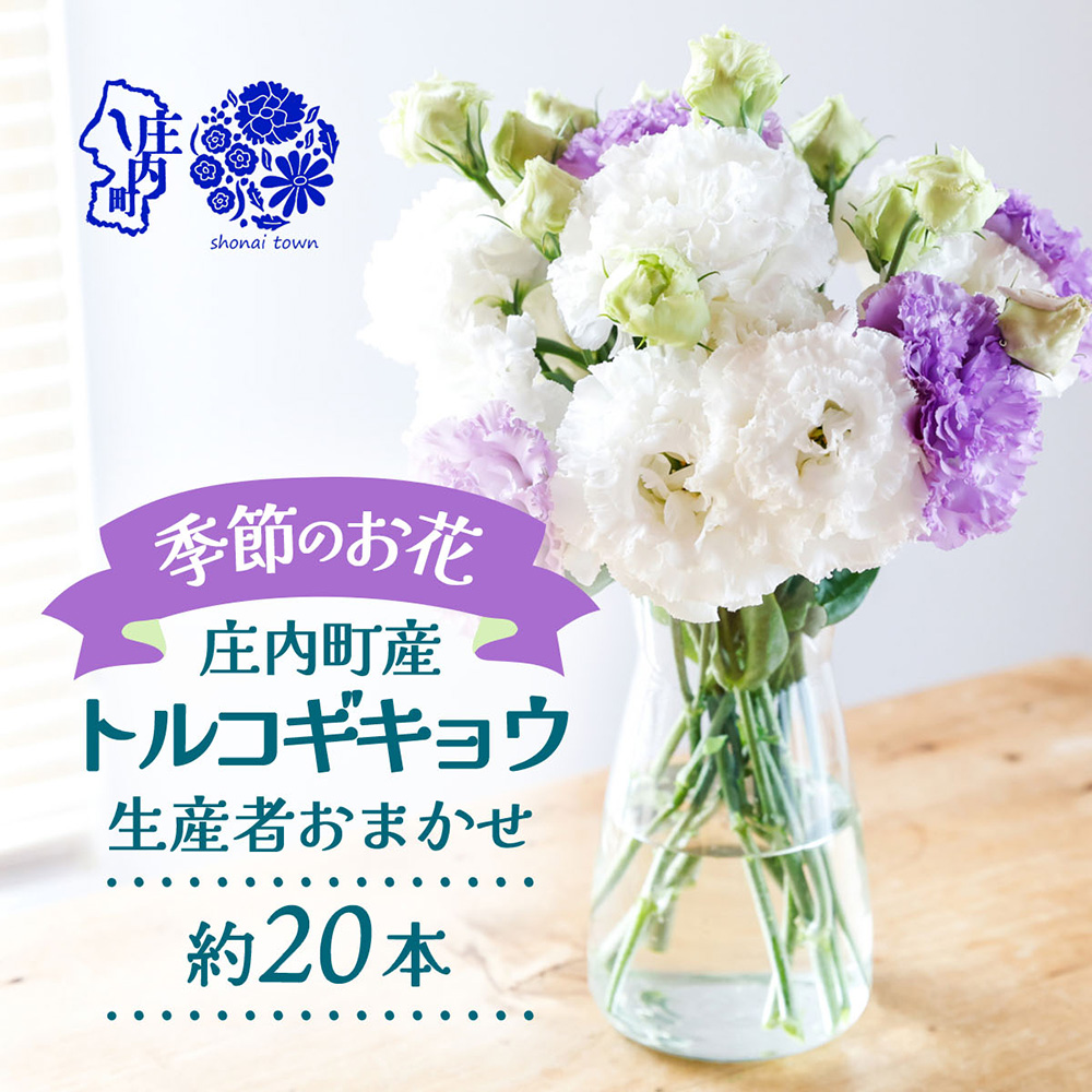 【R8.9月下旬発送】トルコギキョウ 20本 切り花 生産者おまかせ 2~3色ミックス トルコキキョウ 八重咲き フリンジ咲き 生花 花束 冷蔵便 国産 庄内町フラワーラボ