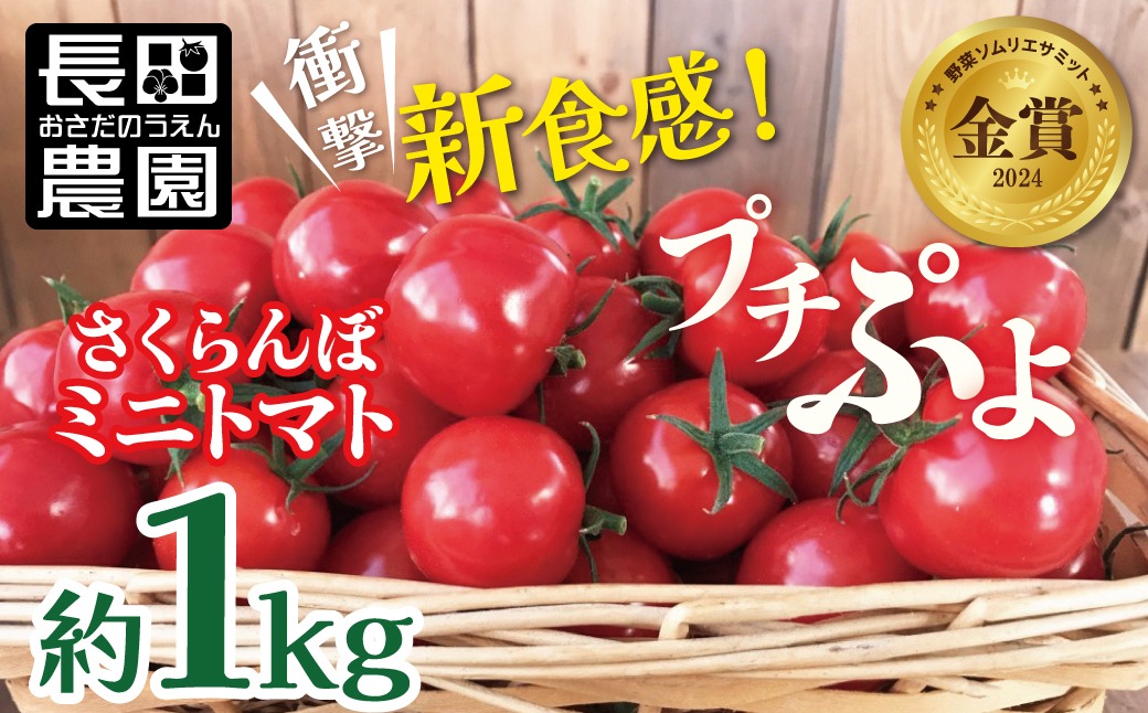【2027年発送】衝撃の一粒!!奇跡のさくらんぼミニトマト(プチぷよ) 約1kg 野菜ソムリエサミット 金賞 受賞 長田農園 産地直送 トマト とまと 野菜 やさい フルーツ サラダ 濃厚 甘い ご褒美 プレゼント 美容 健康 リピート多数 人気 高評価 数量限定 碧南市 H004-223_Apr