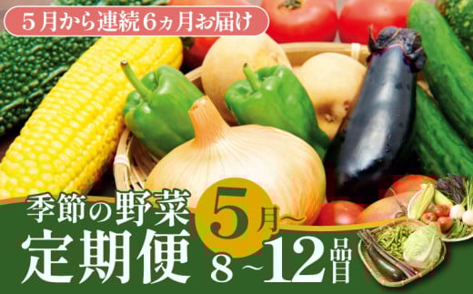 【5月開始】 野菜定期便 年6回 8～12種類 数量限定 野菜 定期便 セット 詰め合わせ 旬 おまかせ 野菜BOX 詰め合わせ 野菜定期便 ふるさと納税野菜 やさい ていばん セット 産地直送  せいだ 新潟 新発田 seida013_01