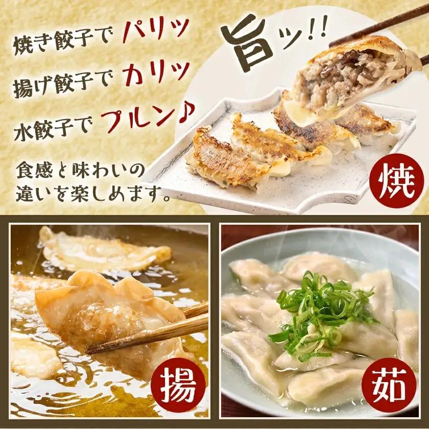 香り立つ!!「きのこ餃子」36個〔LF-8701〕_(都城市) ギョウザ 12個入り 3パック 椎茸 きくらげ 都城産ブランド豚 きなこ豚 きゃべつ ニラ ニンニク使用 ヘルシー餃子 大杉しいたけ園