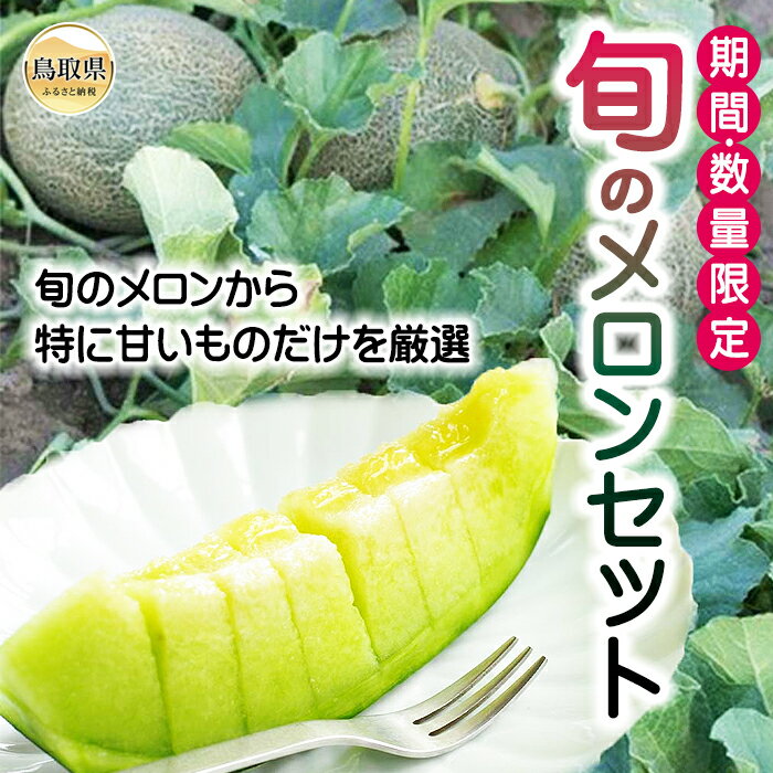 【ふるさと納税】B24-215 旬のメロンセット【期間・数量限定】