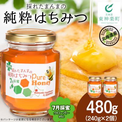 ふるさと納税 東神楽町 東神楽産採れたまんまの純粋はちみつ 240g2個【7月採蜜】