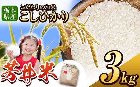 【先行予約】ふるなび限定 那珂川町産芳井米（こしひかり） 約3kg | お米 精米 美味しい 白米 とちぎ 玄米 共通返礼品 送料無料 那珂川町 栃木県