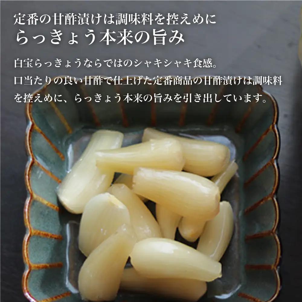 鹿児島県産 白宝らっきょう（90g×10P） ラッキョウ 甘酢らっきょう 惣菜 常温保存 ご飯のおとも 野菜 常温 漬物 国産
