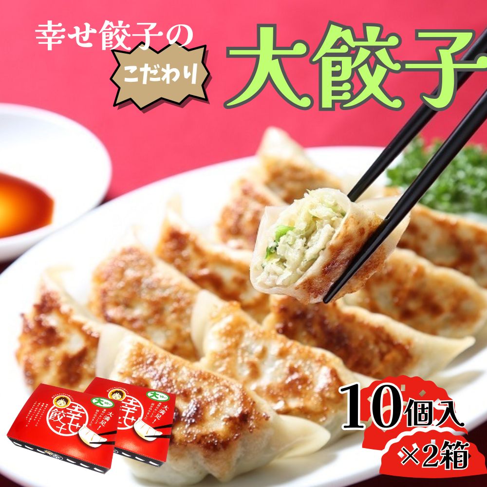 【ふるさと納税】ボリューム満点こだわり大餃子(2箱)【配送不可地域：離島・沖縄県】【1332554】