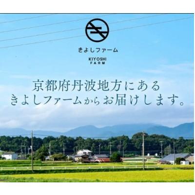 ふるさと納税 京都府 【毎月定期便】【産地直送】旬のお野菜詰め合わせ 京野菜セット 6〜8種類全6回 |  | 03
