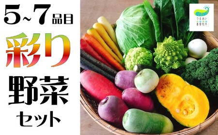 農園自慢 彩り野菜セット（ 5品 以上～）旬 野菜 詰め合わせ シェフ御用達 国産 岩手 旬野菜 季節の野菜 西洋野菜 紫人参 黄色人参 丸なす 水なす 小なす 長なす とうがらし 伏見とうがらし カラフル 野菜 お試し 少量 一人暮らし 直送 送料無料 うるおい春夏秋冬 岩手県 北上市 A0235