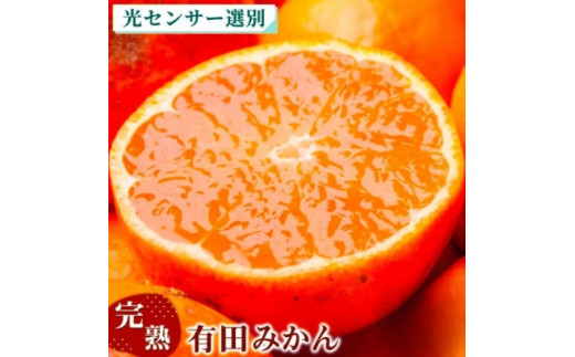 家庭用 完熟 有田みかん5kg+250g（傷み補償分）サイズ混合 ※北海道・沖縄・離島への配送不可 ※2025年11月上旬～2026年1月下旬頃に順次発送予定