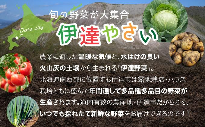 ＜定期便2回＞北海道 伊達市 産直・旬のおまかせ野菜詰合せ 6～8種【dnk-004】