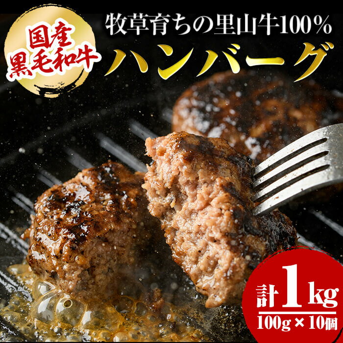 【ふるさと納税】国産黒毛和牛 牧草育ちの里山牛100%使用！手作りハンバーグ 1kg (100g×10個） 黒毛和牛 和牛 肉 牛肉 国産 ハンバーグ 100% 小分け 惣菜【さかうえ】a5-276