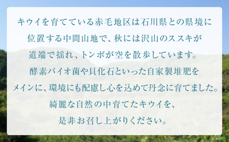 訳あり翡翠グリーン3kg（小玉、擦り傷、日焼け） 数量限定 希少 国産 甘い 氷見キウイランド 富山県 氷見市
