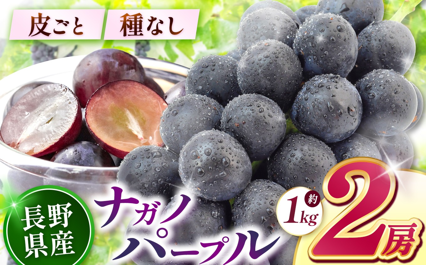 
                   ナガノパープル（2房）【9月上旬～10月下旬にかけて順次発送予定】 | ナガノパープル ナガノ パープル ぶどう 葡萄 ブドウ フルーツ 果物 くだもの 種なし 種無し 皮ごと 大粒 黒ぶどう 長野県産 長野 長野県 信州 塩尻市 2房 1kg 甘い 濃厚 ジューシー 食感 国産 旬 秋フルーツ お取り寄せ 人気 おすすめ ふるさと納税 返礼品 2026 2026年
                