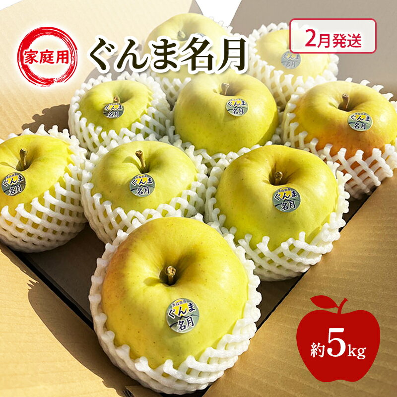 【ふるさと納税】【2月発送】 りんご ぐんま名月 家庭用 約 5kg 林檎 フルーツ 果物 青森県 鶴田町　お届け：2027年2月上旬から2月下旬