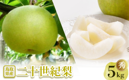 二十世紀梨 秀5kg【配送不可地域：離島・北海道・沖縄県】【1593390】