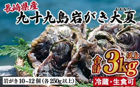 牡蠣 【産地直送】大粒 3kg 冷凍 牡蠣 かき A163
