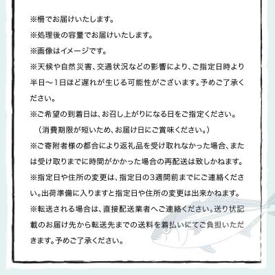 ふるさと納税 天草市 【隔月　6回お届け】天草天然鮮魚を直送　お刺身用柵定期便_S121-T02 |  | 03