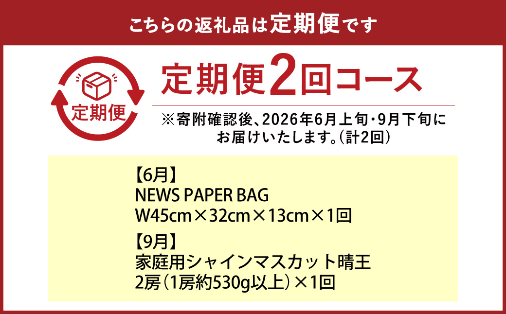 【年2回定期便】 家庭用 シャインマスカット 晴王 2房（1房約530g以上）＋ NEWS PAPER BAG（INDIGO） フルーツ 果物 ブドウ ぶどう 葡萄 シャインマスカット マスカット 国