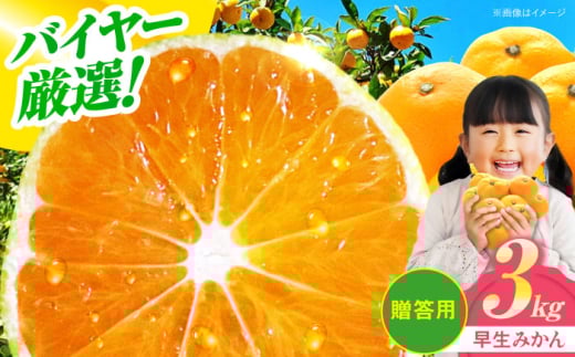 【贈答用】 早生みかん 3kg 愛媛県大洲市/有限会社西山青果 [AGAR007] 先行予約 みかん ミカン 蜜柑 温州ミカン 温州みかん 果物 くだもの フルーツ 愛媛県産 大洲市産 産地直送 おすすめ 人気 お取り寄せ 送料無料 贈答 ギフト