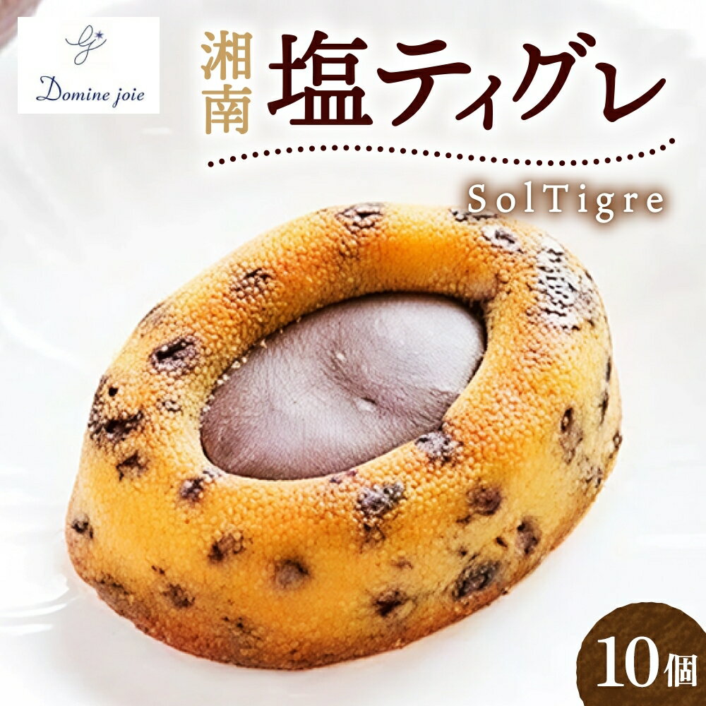 【ふるさと納税】湘南塩ティグレ SolTigre 10個入り 塩ティグレ SolTigre フランス伝統菓子 フランス焼き菓子 焼き菓子 焼菓子 フランス菓子 デザート スイーツ ガナッシュ 塩 ソルト お取り寄せスイーツ 贈答品 送料無料 神奈川県 平塚市
