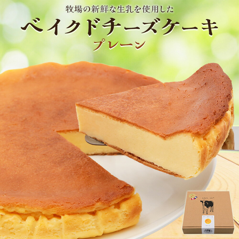 【ふるさと納税】奥野牧場ベイクドチーズケーキ ホール (大) プレーン｜チーズ ケーキ スイーツ ミルク 牧場 ギフト お祝い 袖ケ浦 [0226]