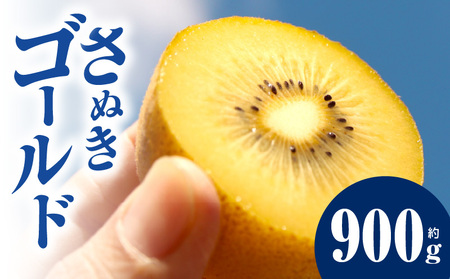 キウイ　鮮やか黄金に輝く　ゴールドキウイ 約900g | 果物 フルーツ さぬきゴールド キウイ キウイフルーツ フレッシュ ジューシー 香り 爽やか 旬の果物 人気 おすすめ 贈答 贈り物 青果物 