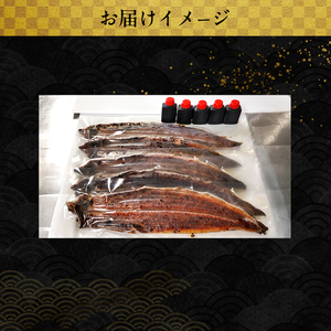 「国産うなぎ蒲焼」5尾(1.2kg～1.25kg)