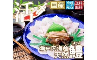 鱧骨切りしゃぶしゃぶ用（2人前）【予約受付中！令和5年7月頃より！天然物につき捕れ次第発送！】【A-4】