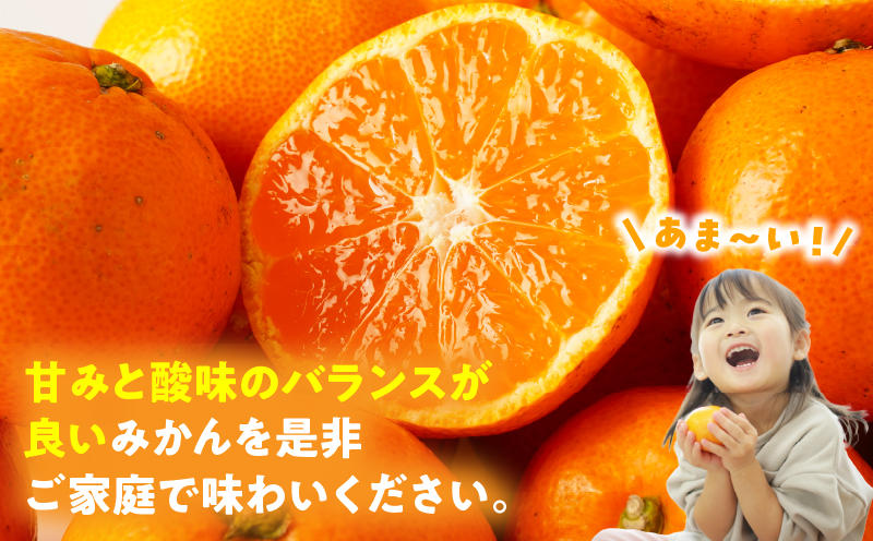 【先行受付】訳あり温州みかん約5kg（2L-2S） | みかん 温州みかん 果物 果実 訳あり 訳ありみかん 訳あり果物 訳ありフルーツ フルーツ 香川県 三木町 |_mk006-031