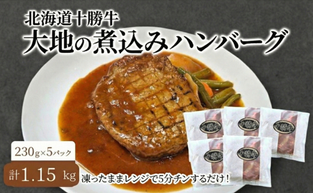 煮込みハンバーグ 230g×5パック 十勝牛 ハンバーグ