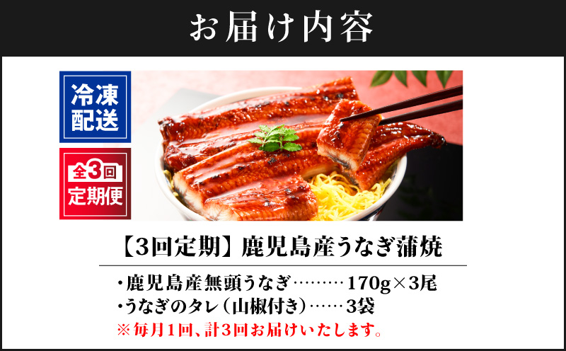 【全3回定期便】鹿児島産うなぎ蒲焼 170g×3尾 清らかな地下水育ち！　KN021-T29