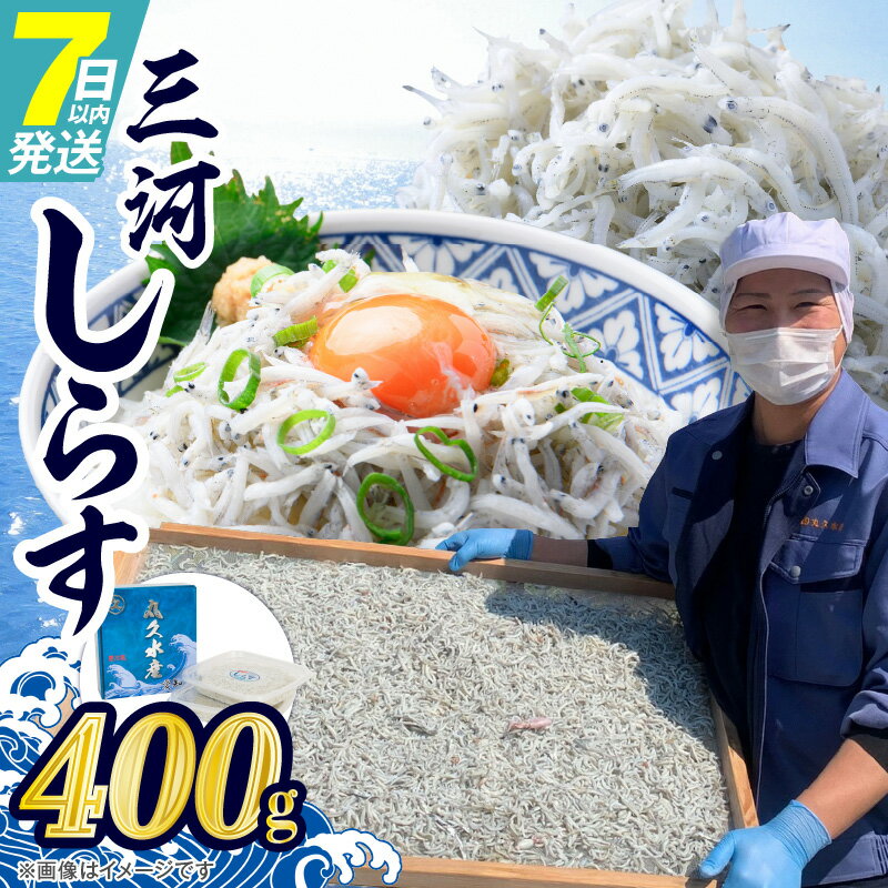 【ふるさと納税】しらす 干し 400g 200g×2 パック 小分け 塩味控えめ 釜茹で 天日干し 海の幸 魚介類 魚 極上の逸品 三河しらす しらす干し 高級感ある箱入り 贈答用 ギフト サラダ しらす丼 しらすパスタ お取り寄せ 送料無料